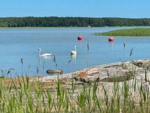 Kalliosaari ja hiekkaranta